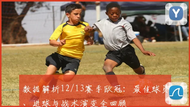 数据解析12/13赛季欧冠：最佳球员、进球与战术演变全回顾