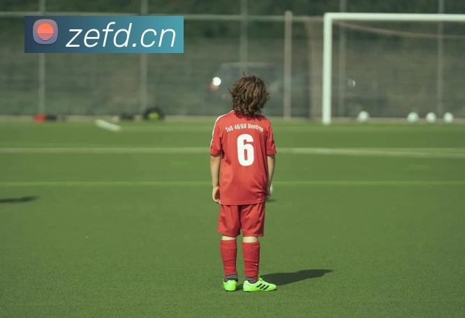 开云官方手机登录服务体系